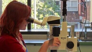 New Microscopy Award for Students at the University of Liverpool Announced