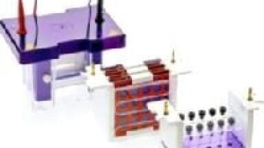 Rapid, User Friendly Mini Vertical Gel Casting