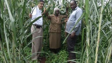 International push in bioscience research to help world’s poorest farmers    