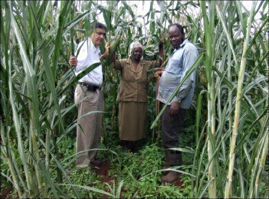 International push in bioscience research to help world’s poorest farmers    