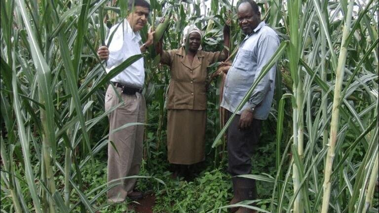 International push in bioscience research to help world’s poorest farmers    