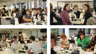 Light Microscopes and Digital Cameras are fully Operational at the University of Liverpool