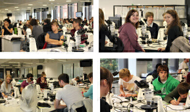Light Microscopes and Digital Cameras are fully Operational at the University of Liverpool