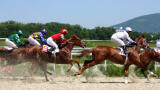 New Article on Bioanalysis of Dermorphin in Equine Urine with VIP Heated-ESI Technology
