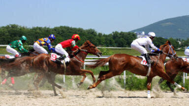 New Article on Bioanalysis of Dermorphin in Equine Urine with VIP Heated-ESI Technology