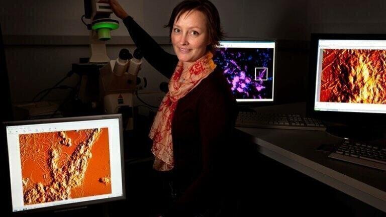 Report on the Use of AFM and Single-Cell Force Spectroscopy