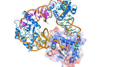 Lethal weapon: bacteria’s high-risk suicide strategy  