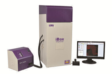 Biodistribution Monitoring of Fluorescent Markers In Vivo Using the iBox Explorer2 Imaging Microscope