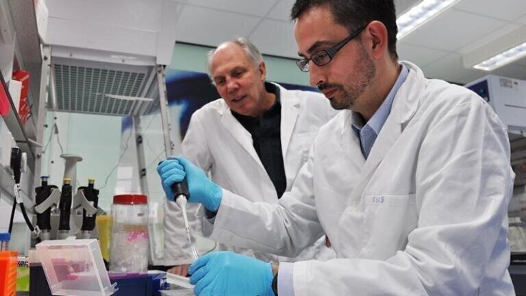 Scientists Find Clue to Inflammatory Reaction in Brain