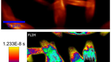 Time-Resolved Single Photon Counting Measurement Option Introduced