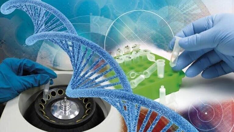 Expansion of Product Range for Epigenetics