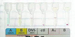 Convenient and Accurate Ready-to-Use Cell Suspensions for Column Agglutination 

