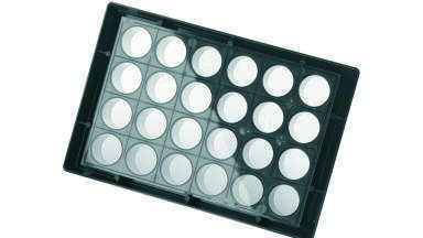 Large Microplate Well Surface Area Promotes Efficient Cell Growth