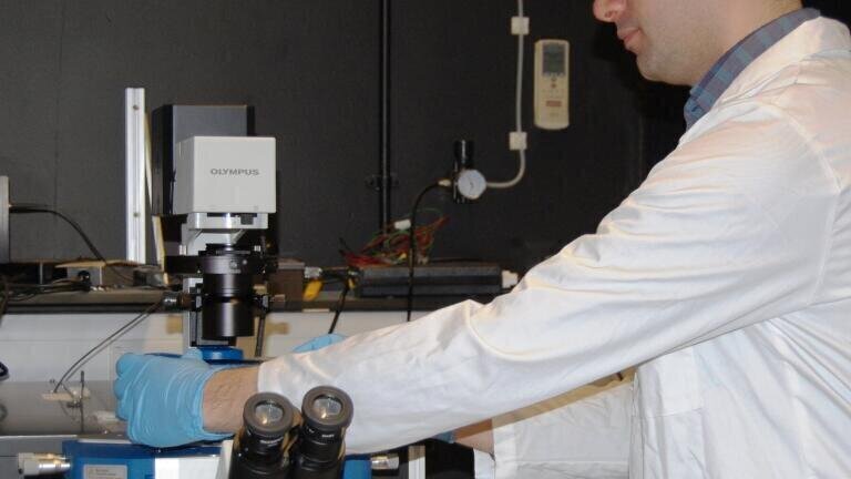 Report on the use of AFM and the Tip Assisted Optics module to study Individual Nanotubes and Fibrils