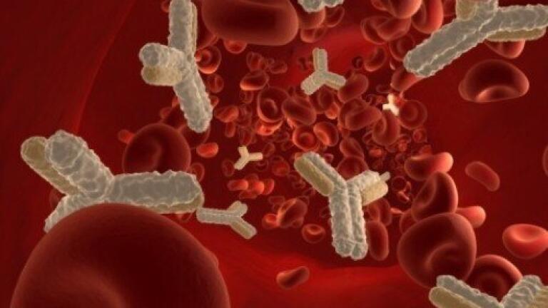 GSK provides update on clinical trial plans