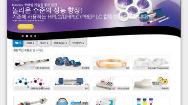 Translated Website Serves Growing Korean Market