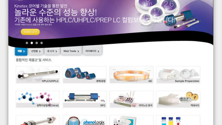 Translated Website Serves Growing Korean Market