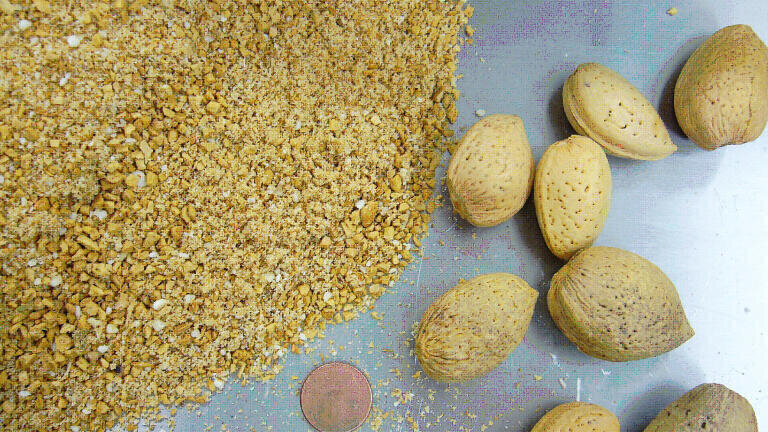 Comminution of almonds