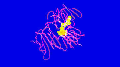 Highly Specific Aptamer Protein Precipitation Kits
