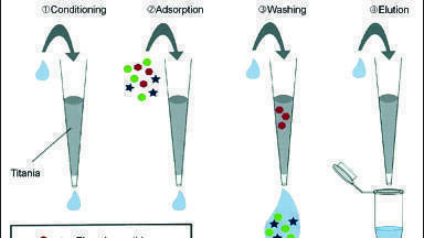 Phosphopeptide Purification and Enrichment