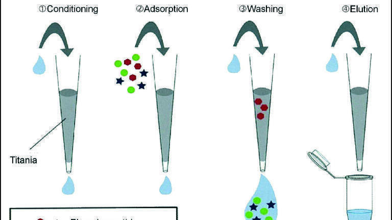 Phosphopeptide Purification and Enrichment
