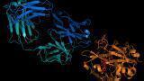 New Spin-Out to Develop Revolutionary Drug for Thrombosis