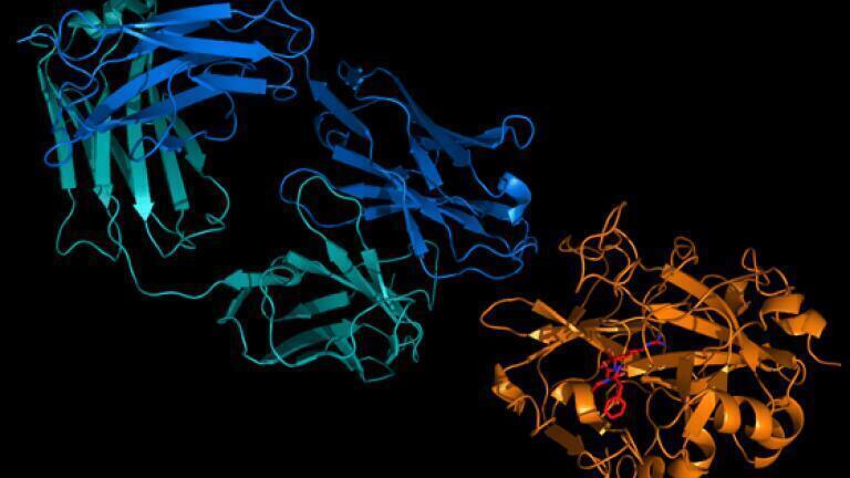 New Spin-Out to Develop Revolutionary Drug for Thrombosis