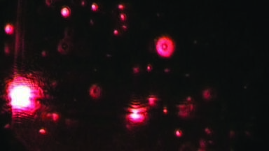 Nanoparticle Tracking Analysis - See what you’ve been missing