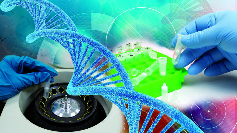 Chromatrap® enriches epigenetic marks from primary cells