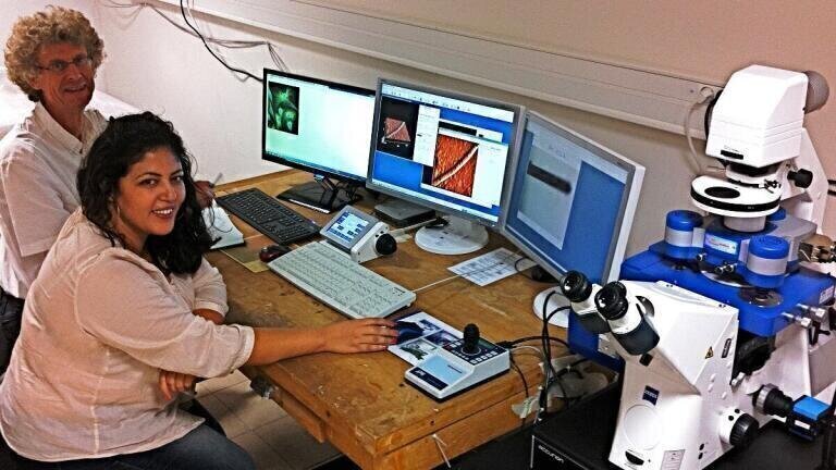 Report on the use of Quantitative Imaging for the study of living Bacteria