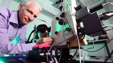 Technology Transfer Provides Useful Insight