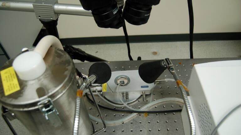 Temperature Stage Microscopy applied to help understand Electronic Packaging and Reliability