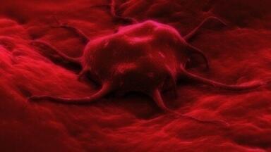 Clinical trial reveals results of stem cell purging in neuroblastoma patients