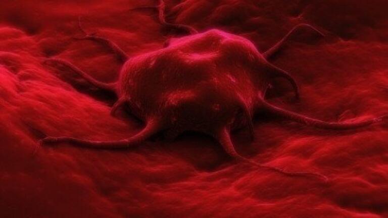 Clinical trial reveals results of stem cell purging in neuroblastoma patients