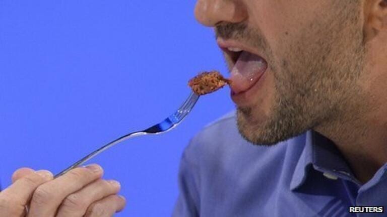 stem Cell Burger - source BBC http://www.bbc.co.uk/news/science-environment-23529841