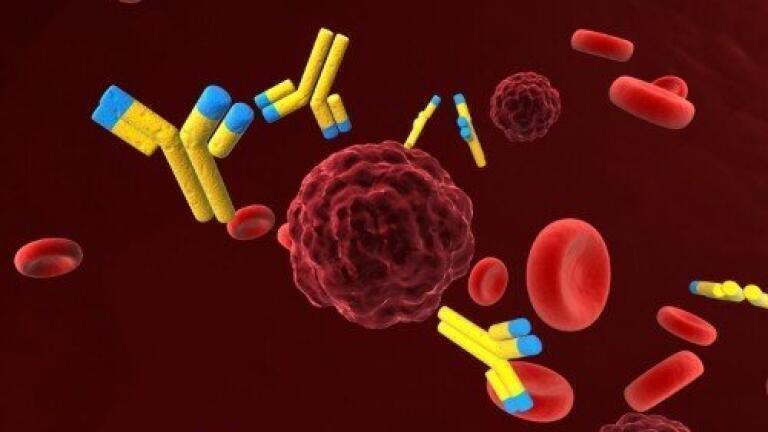 Immune system study could lead to cancer treatment