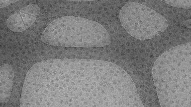 Launch of Graphene Oxide Support Films developed in collaboration with the University of Warwick