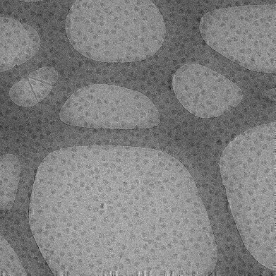Launch of Graphene Oxide Support Films developed in collaboration with the University of Warwick
