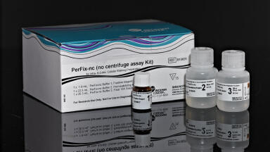 New Reagent Kits Deliver Probes and Antibodies into Cells