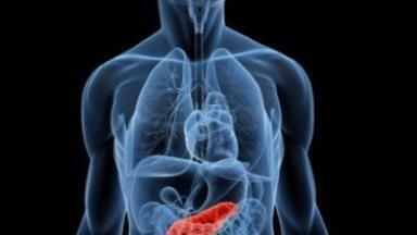 Cell breakthrough could mean shorter transplant waits for diabetic patients