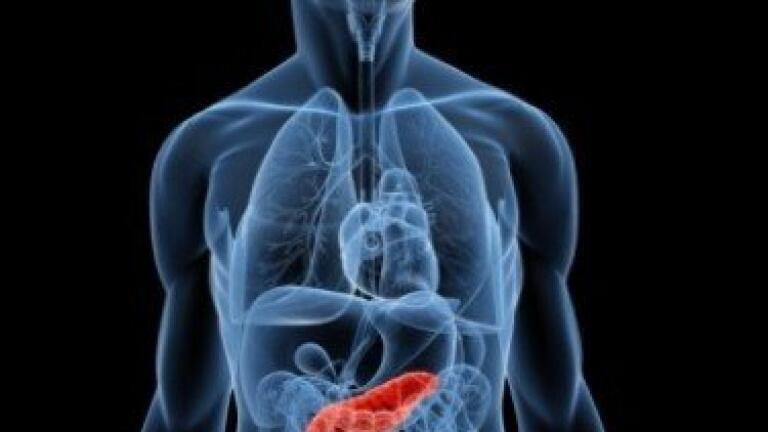 Cell breakthrough could mean shorter transplant waits for diabetic patients