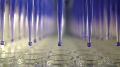 High Throughput 96- & 384-Well DNA Purification