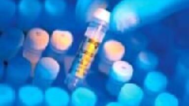 Brings Researchers the Best of 4 Great Antibody Companies!