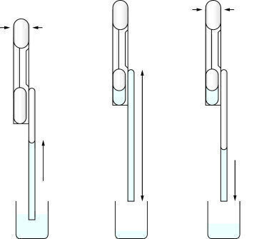 Dual-Bulb Pipettes Deliver Foolproof Simplicity for Exact Volume Dispensing
