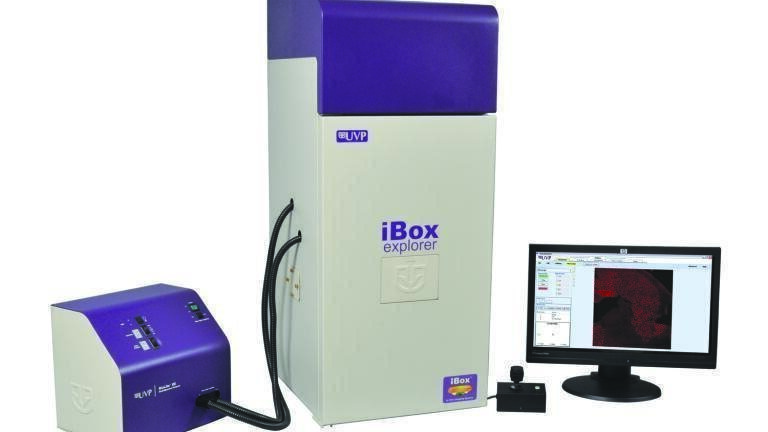 Imaging of Fluorescent Metastatic Mouse Models of Pancreatic Cancer - Using the iBox Explorer2 Imaging Microscope