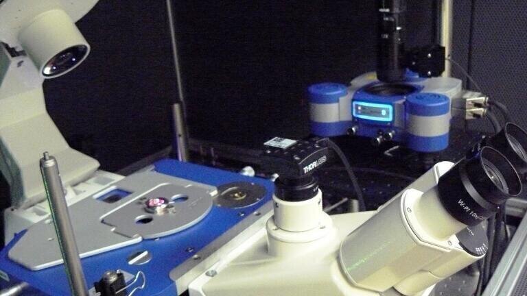 Report on the study of Structure and Dynamics of Biological Membranes using AFM and Advanced Fluorescence Microscopies