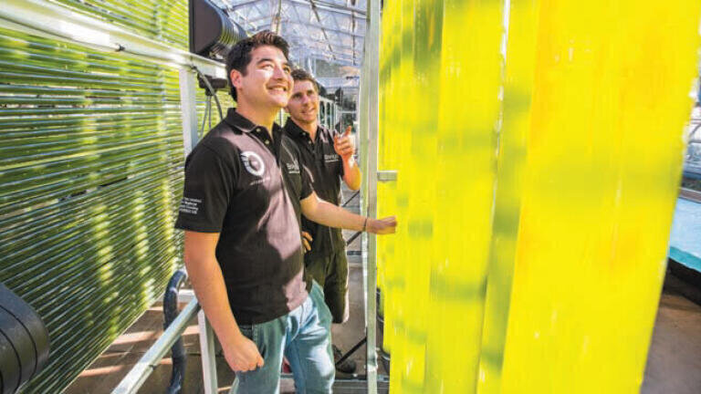 EnAlgae's Craig Pooley (R) and Graham Nelson at the algal biotechnology research facility at Swansea University; the facility is one of nine pilots operated by the EnAlgae project.