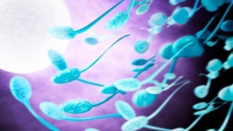 Sperm test could help men avoid fertility surgery