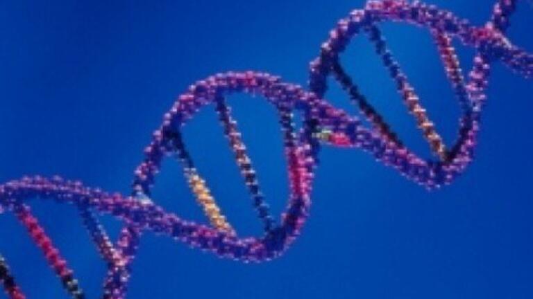Saudi Arabia begins genome sequencing study