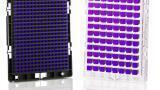 Collaboration on Genotyping Arrays for guaranteed sustainability of Wheat Production Announced